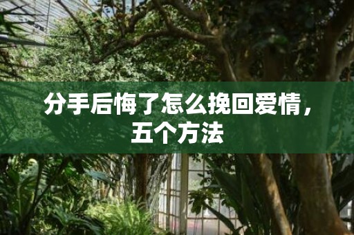 分手后悔了怎么挽回爱情，五个方法