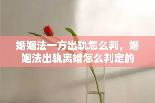 婚姻法一方出轨怎么判，婚姻法出轨离婚怎么判定的
