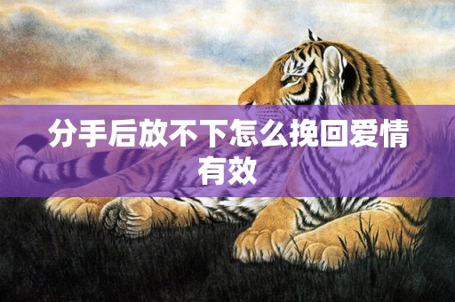 分手后放不下怎么挽回爱情有效