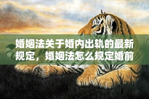 婚姻法关于婚内出轨的最新规定，婚姻法怎么规定婚前财产的