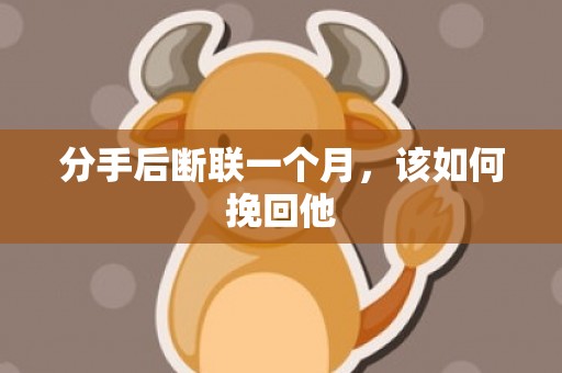 分手后断联一个月，该如何挽回他
