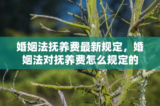 婚姻法抚养费最新规定，婚姻法对抚养费怎么规定的