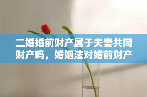 二婚婚前财产属于夫妻共同财产吗，婚姻法对婚前财产有新规吗