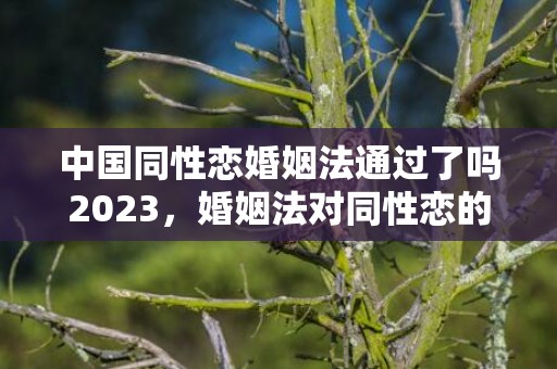 中国同性恋婚姻法通过了吗2023，婚姻法对同性恋的规定