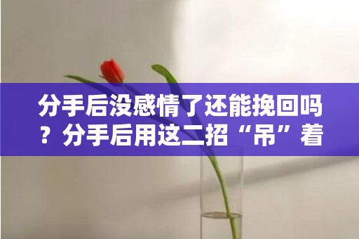 分手后没感情了还能挽回吗？分手后用这二招“吊”着男人，他定会放下身段
