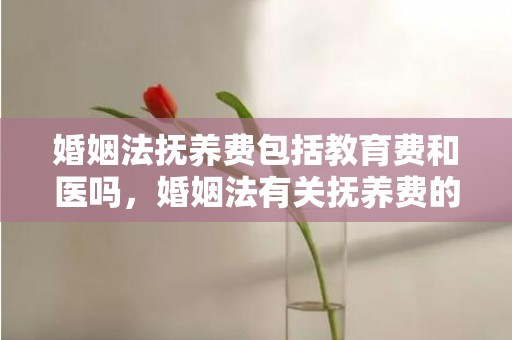 婚姻法抚养费包括教育费和医吗，婚姻法有关抚养费的规定