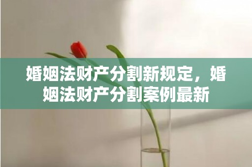 婚姻法财产分割新规定，婚姻法财产分割案例最新
