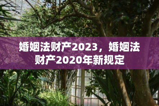 婚姻法财产2023，婚姻法财产2020年新规定