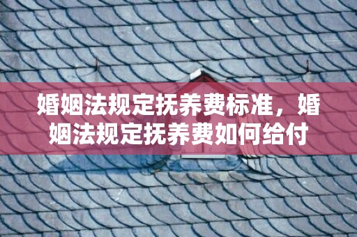 婚姻法规定抚养费标准，婚姻法规定抚养费如何给付
