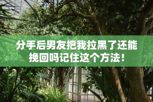 分手后男友把我拉黑了还能挽回吗记住这个方法！