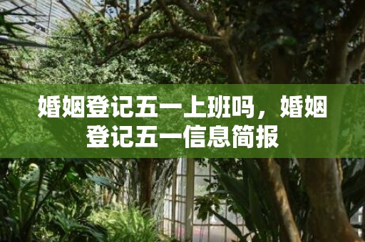 婚姻登记五一上班吗，婚姻登记五一信息简报