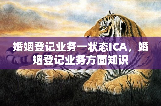 婚姻登记业务一状态ICA，婚姻登记业务方面知识