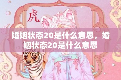 婚姻状态20是什么意思，婚姻状态20是什么意思