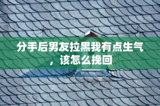 分手后男友拉黑我有点生气，该怎么挽回