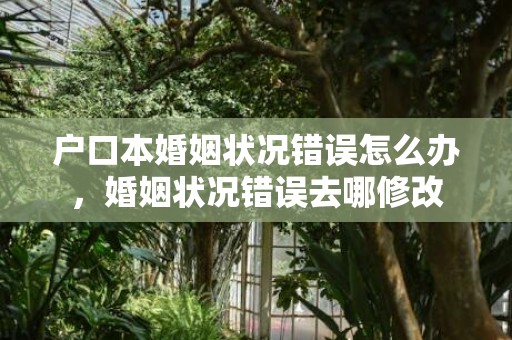 户口本婚姻状况错误怎么办，婚姻状况错误去哪修改