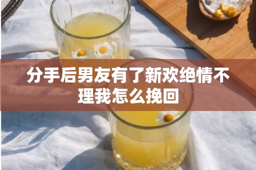 分手后男友有了新欢绝情不理我怎么挽回