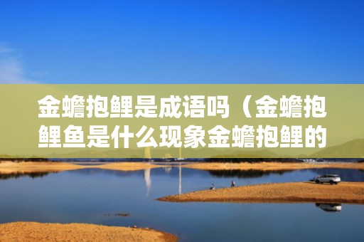 金蟾抱鲤是成语吗（金蟾抱鲤鱼是什么现象金蟾抱鲤的寓意）