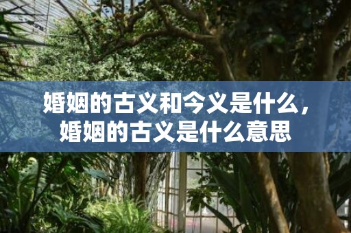 婚姻的古义和今义是什么，婚姻的古义是什么意思