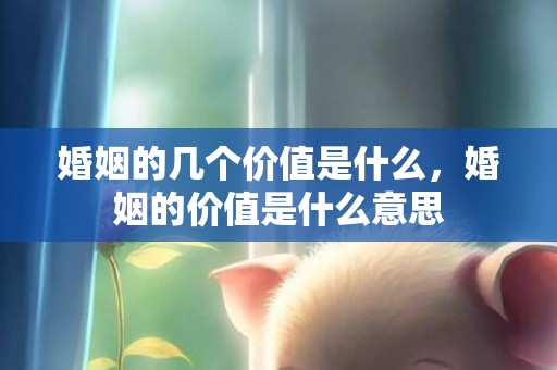 婚姻的几个价值是什么，婚姻的价值是什么意思