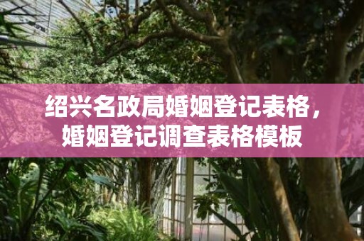 绍兴名政局婚姻登记表格，婚姻登记调查表格模板