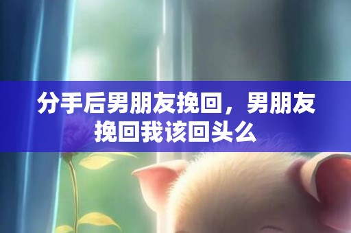 分手后男朋友挽回，男朋友挽回我该回头么