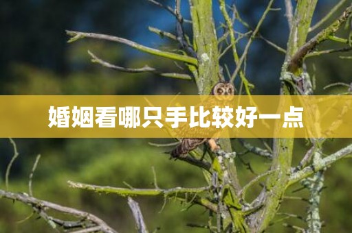 婚姻看哪只手比较好一点