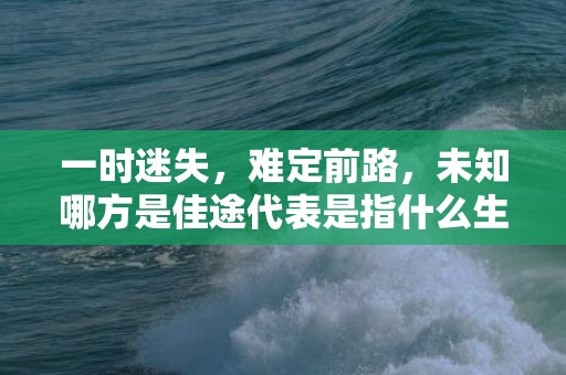 一时迷失，难定前路，未知哪方是佳途代表是指什么生肖，最佳作答落实