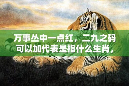 万事丛中一点红，二九之码可以加代表是指什么生肖，最佳作答落实