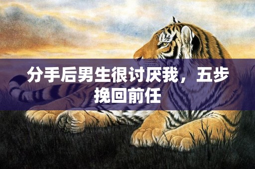 分手后男生很讨厌我，五步挽回前任