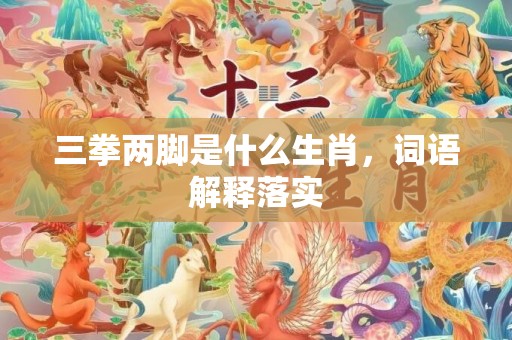 三拳两脚是什么生肖，词语解释落实