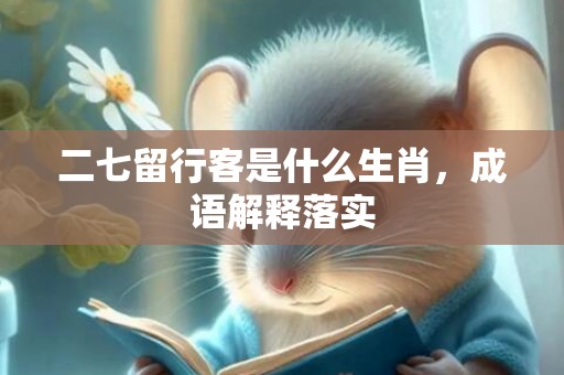 二七留行客是什么生肖，成语解释落实