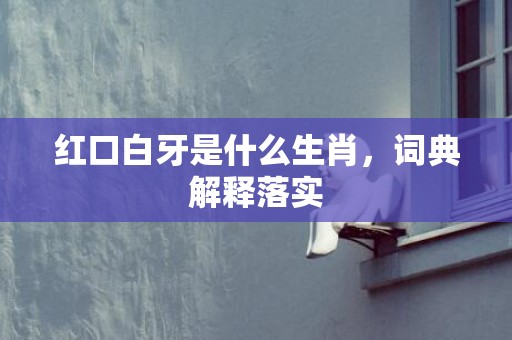 红口白牙是什么生肖，词典解释落实