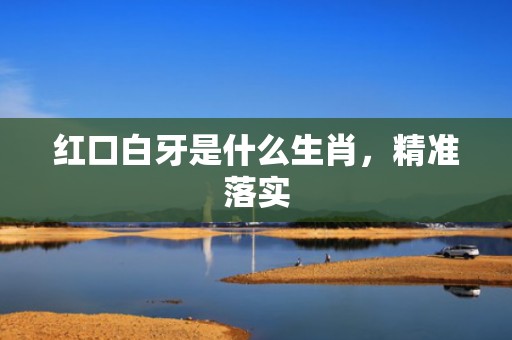 红口白牙是什么生肖，精准落实