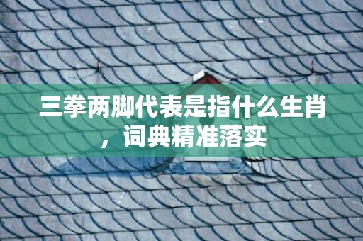 三拳两脚代表是指什么生肖，词典精准落实