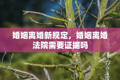 婚姻离婚新规定，婚姻离婚法院需要证据吗