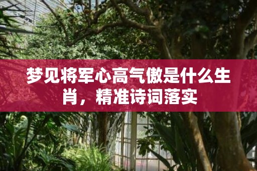梦见将军心高气傲是什么生肖，精准诗词落实