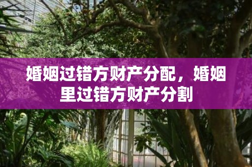 婚姻过错方财产分配，婚姻里过错方财产分割