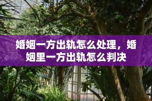 婚姻一方出轨怎么处理，婚姻里一方出轨怎么判决