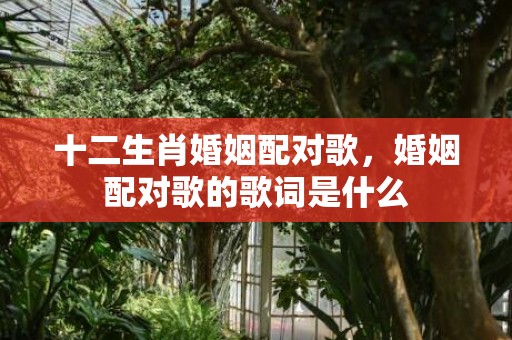 十二生肖婚姻配对歌，婚姻配对歌的歌词是什么