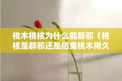 桃木桃核为什么能辟邪（桃核是辟邪还是招鬼桃木用久了会招鬼吗）