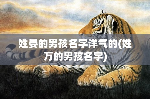 姓晏的男孩名字洋气的(姓万的男孩名字)