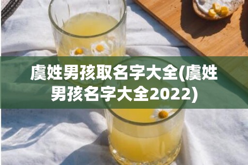 虞姓男孩取名字大全(虞姓男孩名字大全2022)