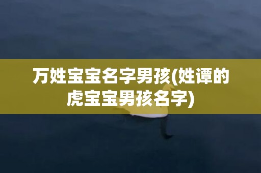 万姓宝宝名字男孩(姓谭的虎宝宝男孩名字)