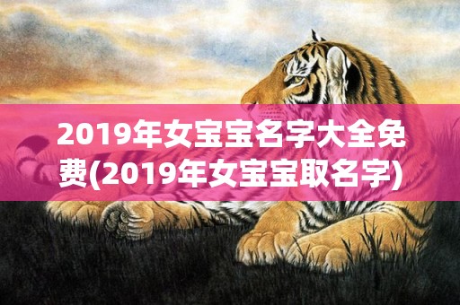 2019年女宝宝名字大全免费(2019年女宝宝取名字)