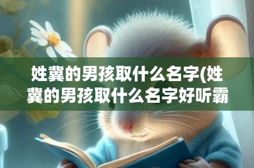 姓冀的男孩取什么名字(姓冀的男孩取什么名字好听霸气)