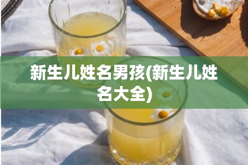 新生儿姓名男孩(新生儿姓名大全)