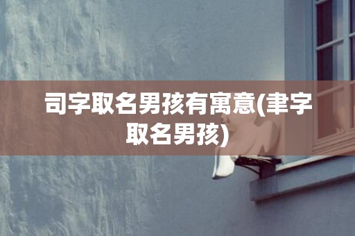 司字取名男孩有寓意(聿字取名男孩)
