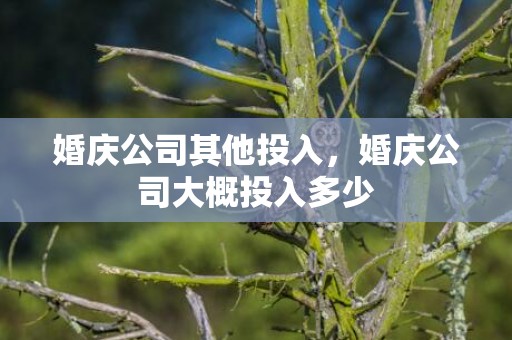 婚庆公司其他投入，婚庆公司大概投入多少