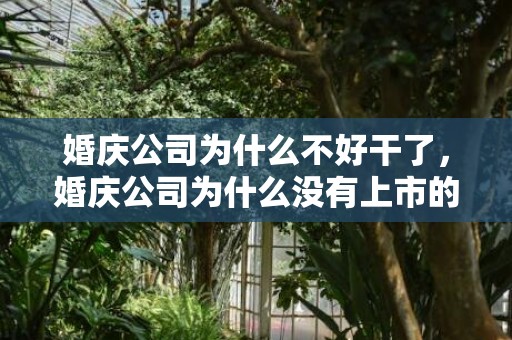 婚庆公司为什么不好干了，婚庆公司为什么没有上市的