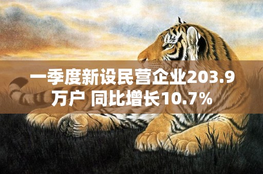 一季度新设民营企业203.9万户 同比增长10.7%